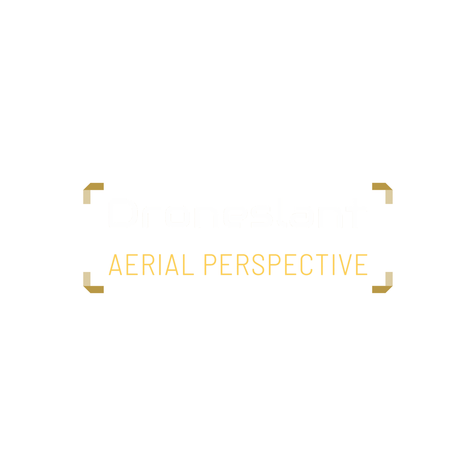 droneslant.com